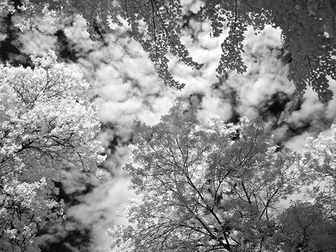 photographies infrarouges numériques en noir et blanc